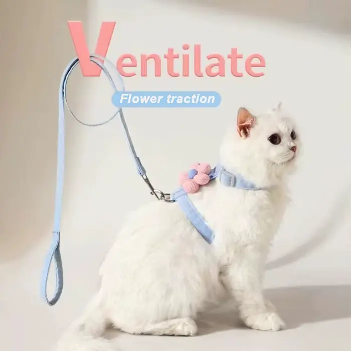 Ensembles de harnais et de laisse pour chat, harnais réglable pour petit chien, harnais pour animaux de compagnie, sangle de marche, accessoire pour chat