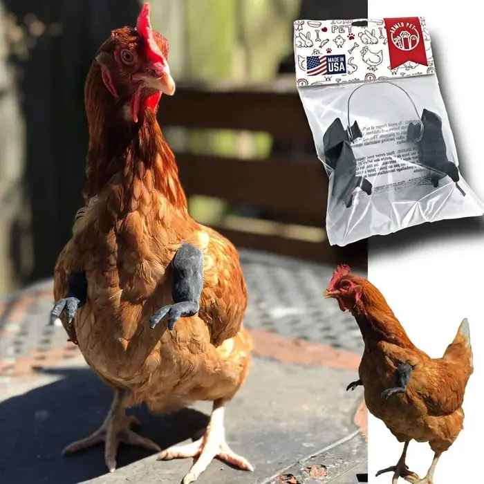 Bras de Musculation Artificiel Jetable pour Pigeon Poule, Jouets de ixà Thème pour Animaux de Compag