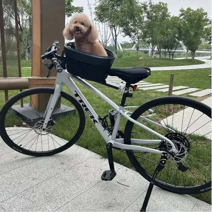 Panier de vélo pour chats pets petite race voyage sécurisé sur vtt vélo de route occasions spéciales confort voyage