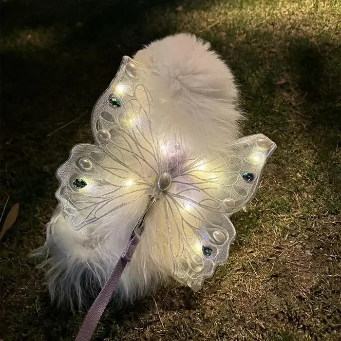 Harnais pour chien avec ailes de papillon lumineuses et tenue d'été pour petits chiens – Adorable décor de poitrine