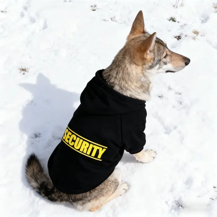 Sweat à capuche pour animaux de compagnie pour chiens de taille moyenne à grande |   Noir classique 