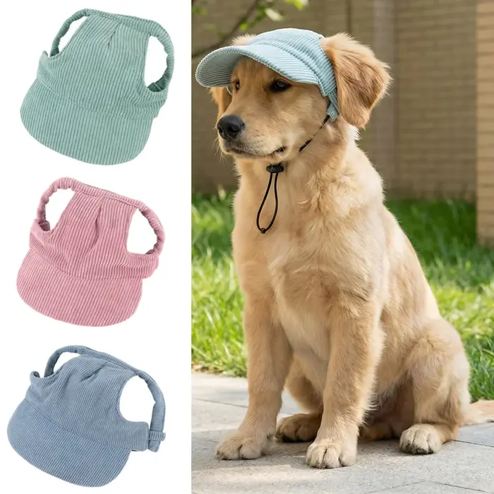 Casquette de baseball tendance pour grand chien
