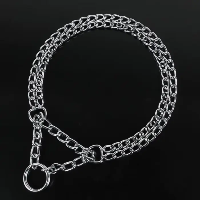 Collier pour chien 35-70cm