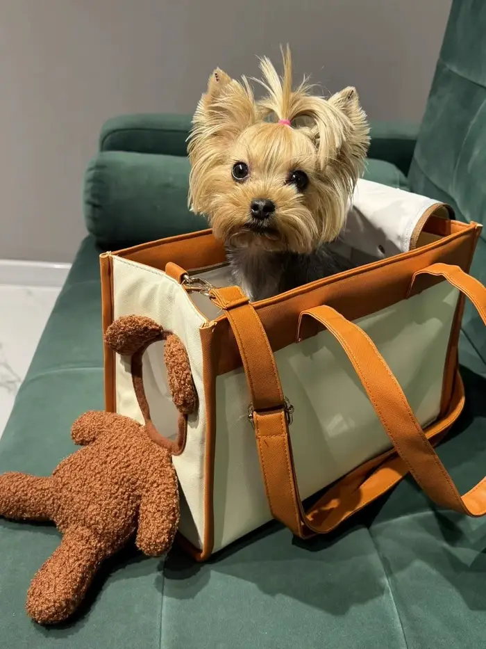 Sac de transport créatif pour animaux de compagnie, grande capacité, extérieur, une épaule inclinable, fourre-tout pour chat, petit chien, ours brun