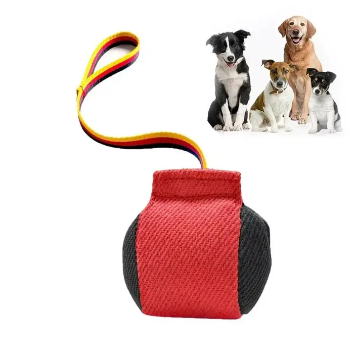 Équipement d'entraînement anti-morsure pour chien portable, jouet interactif en forme d'oreiller pou