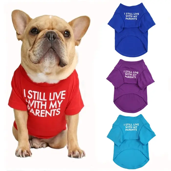 T-shirt d'été pour chien avec lettres imprimées