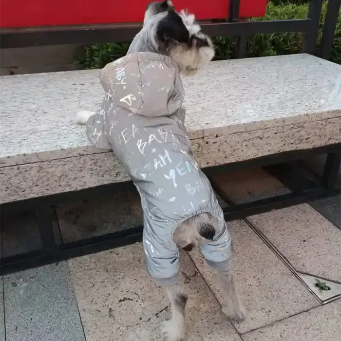 Salopette réfléchissante avec lettres Laser pour chiens, vêtements d'hiver imperméables pour chiens 
