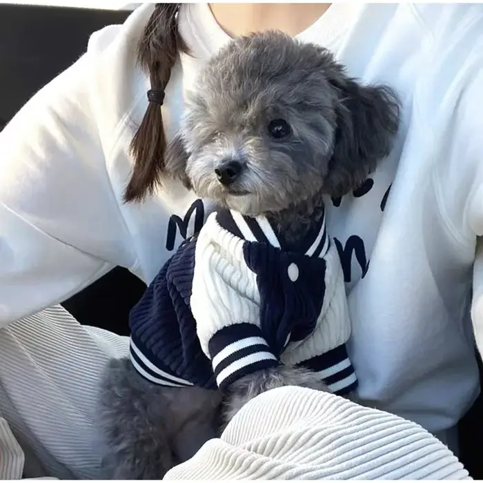 Veste de baseball en coton pour animaux de compagnie, style coréen, pour chiens et chats, élégante et chaude, idéale pour petites et moyennes tailles, accessoire de mode pour chiots