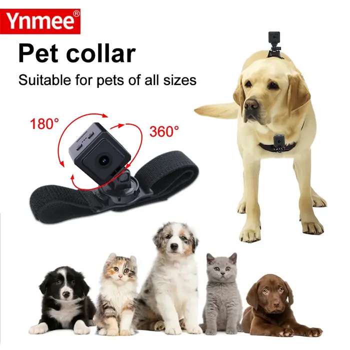 Ynmee MD38 caméra pour animaux de compagnie