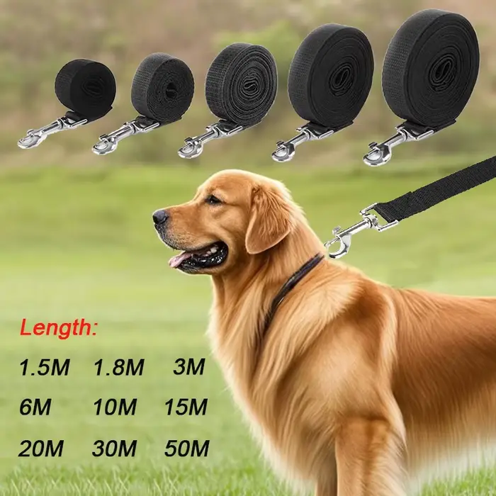 Laisse longue et solide en Nylon pour chien