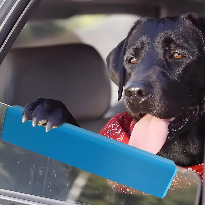 Coussin Confortable en Mousse pour Fenêtre de Voiture pour Chiens