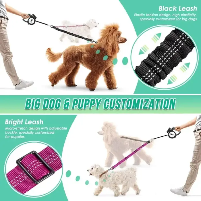 Attache de laisse double pour chien de 1