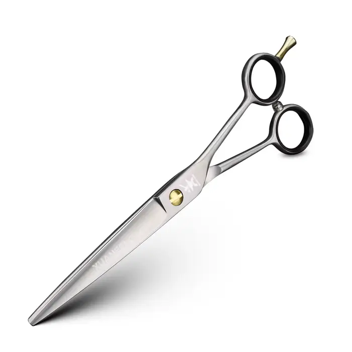 Ciseaux de coiffure pour coiffeurs professionnels, ciseaux de coupe de cheveux en acier inoxydable, 