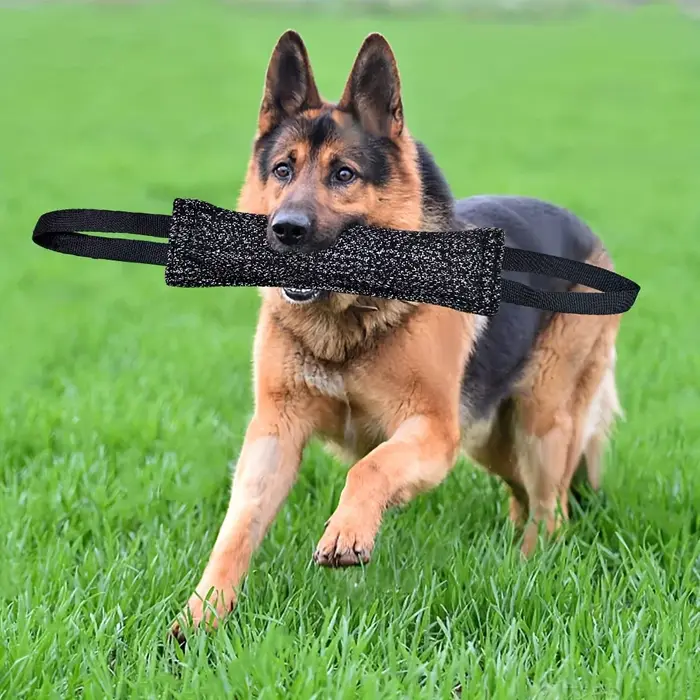 Bâton de morsure d'entraînement pour chien, jouet interactif à Double poignée, meulage des dents, bâ