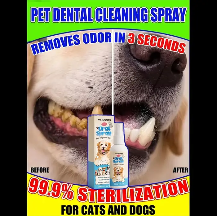 Spray buccal pour animaux de compagnie contrôle de la mauvaise haleine et tartre spray dentaire sans brosse pour chiens chats et autres animaux occasions spéciales