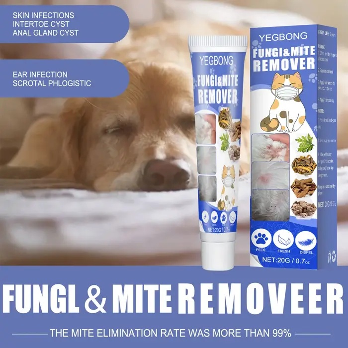 Crème de traitement contre les infections de la teigne non collante pour chiens et chats soulagement rapide anti-démangeaisons infections cutanées