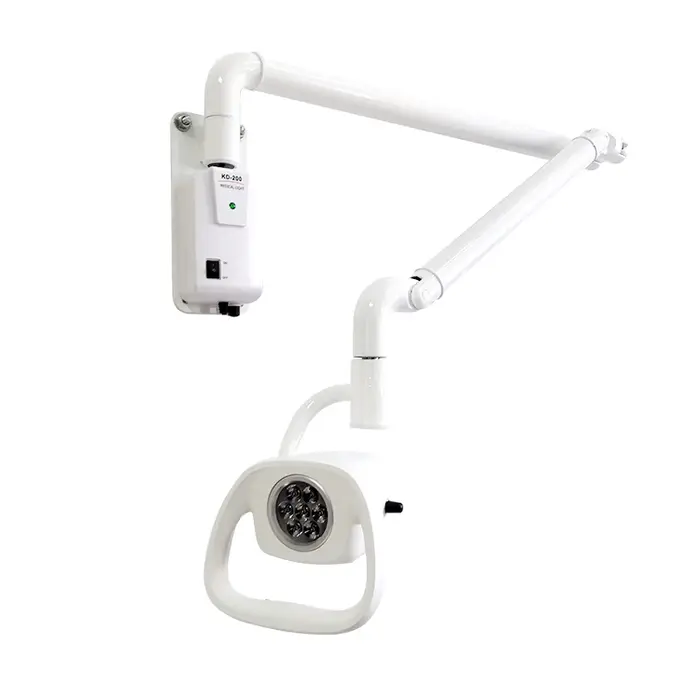 Lampe d'examen vétérinaire murale et de plafond, lampe chirurgicale LED sans ombre, lampe d'examen é