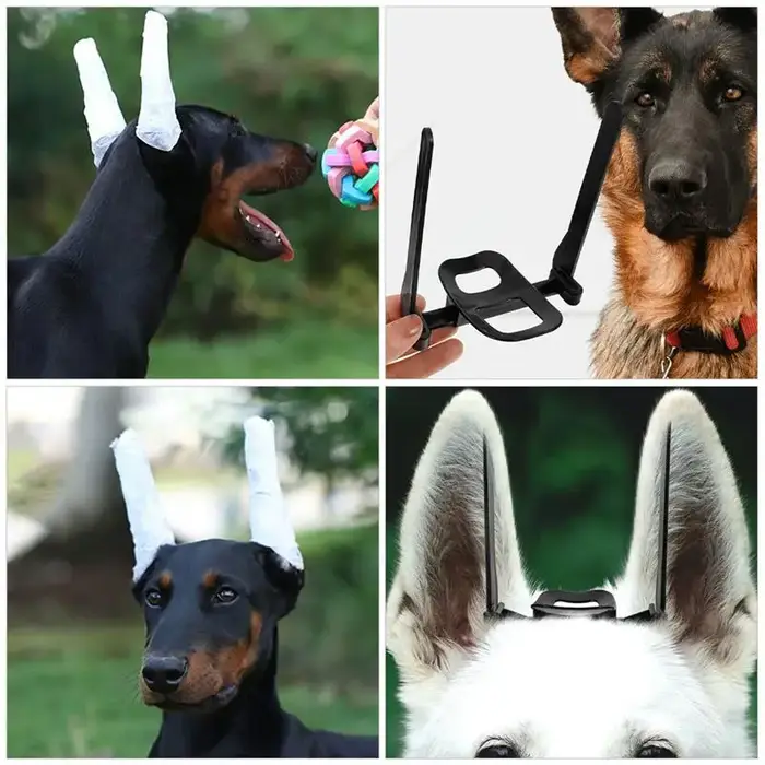 Support d'oreille pour chien Doberman