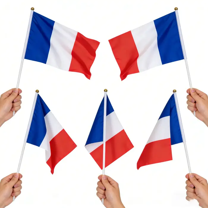 Petits drapeaux français à main
