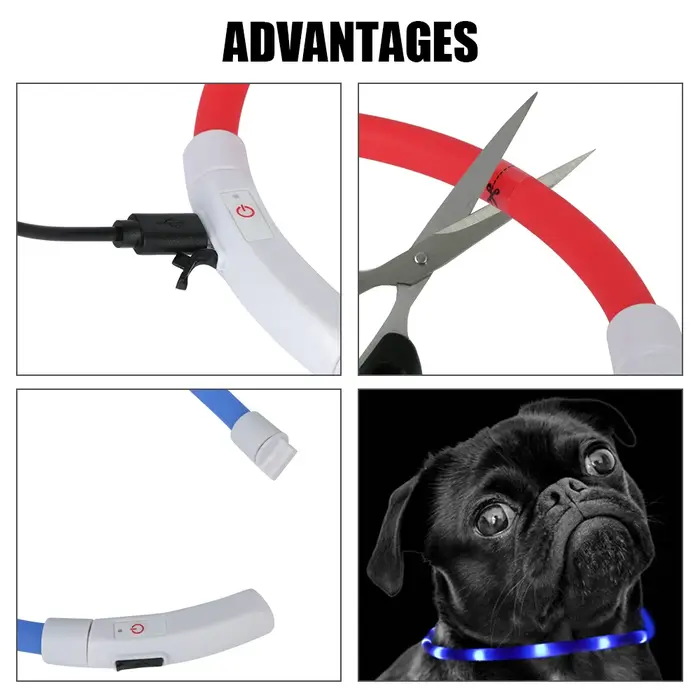 Collier de prévention de la perte de chien Led Usb