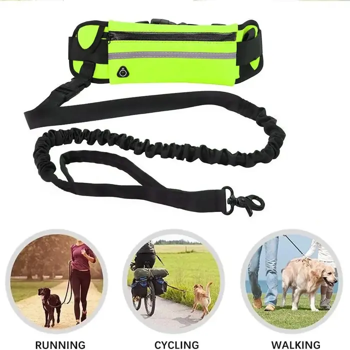Laisse de taille en Nylon pour chien