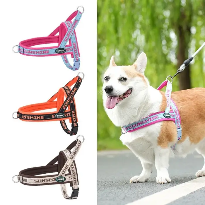 Harnais de promenade pour chien