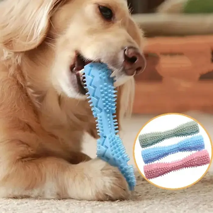 Jouet de dentition résistant pour chiens bâton à mâcher étanche pour jeux et entraînement intérieur et extérieur adapté à tous les chiens occasions spéciales cadeau de naissance anniversaire