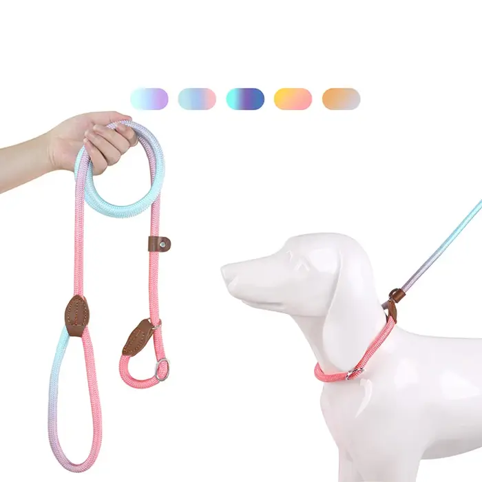 Laisse pour chien, laisse de dressage anti-traction