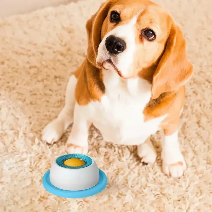 Accessoires d'alimentation pour animaux de compagnie