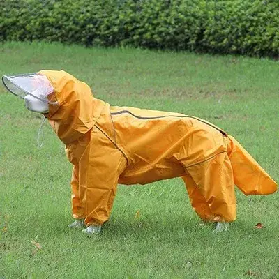 Grand chien de compagnie, moyen à grand chien, Golden HaHbf Samoyed, Alaska, imperméable tout compri