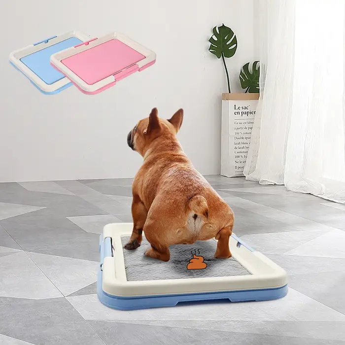 Portable chien formation toilette intérieur chiens pot