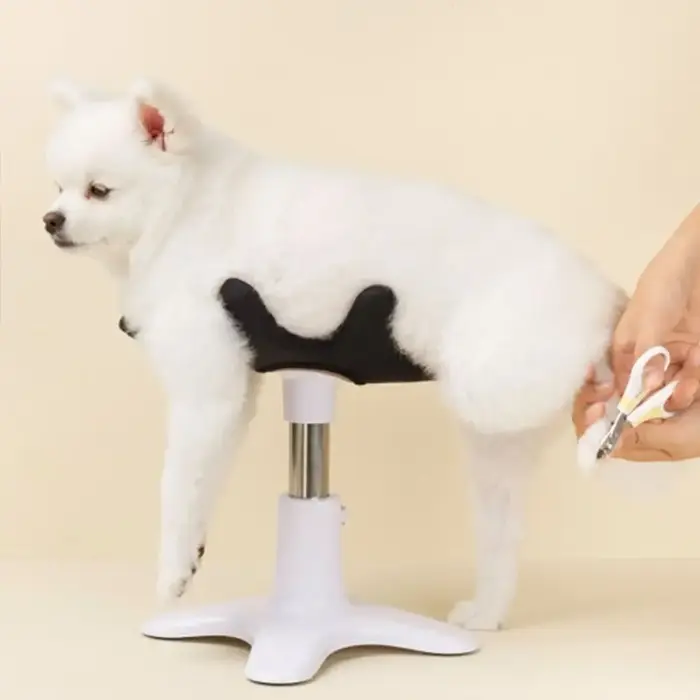 Table de toilettage pour animaux de compagnie en métal réglable pour chiens universelle et antiparasitaire pour le toilettage et le brossage à domicile occasions spéciales