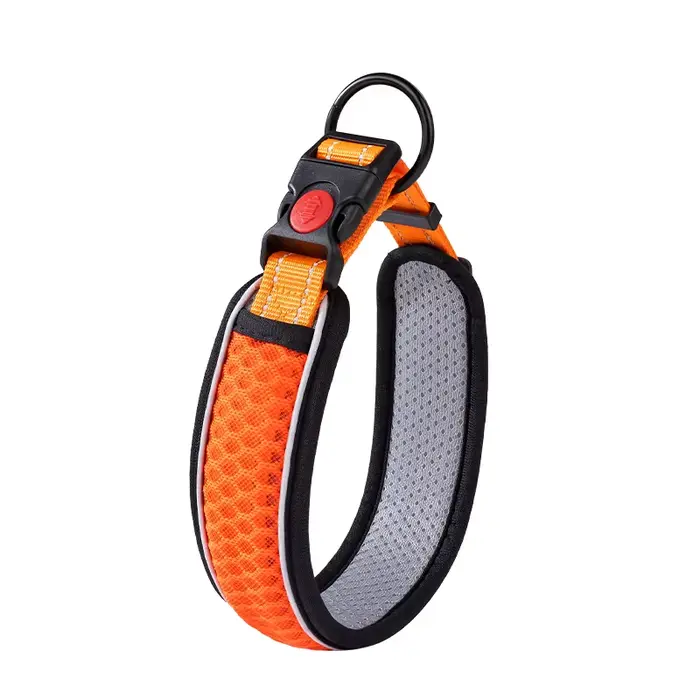 Collier pour animaux de compagnie, collier de cou, ensemble de cou, laisse de marche pour chien, cha