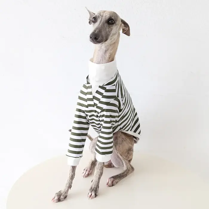 Sweat-shirt rayé pour chien, vêtements tendance pour animaux de compagnie pour lévrier italien, vête