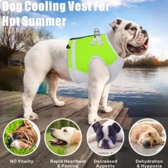 Gilet rafraîchissant pour chiens
