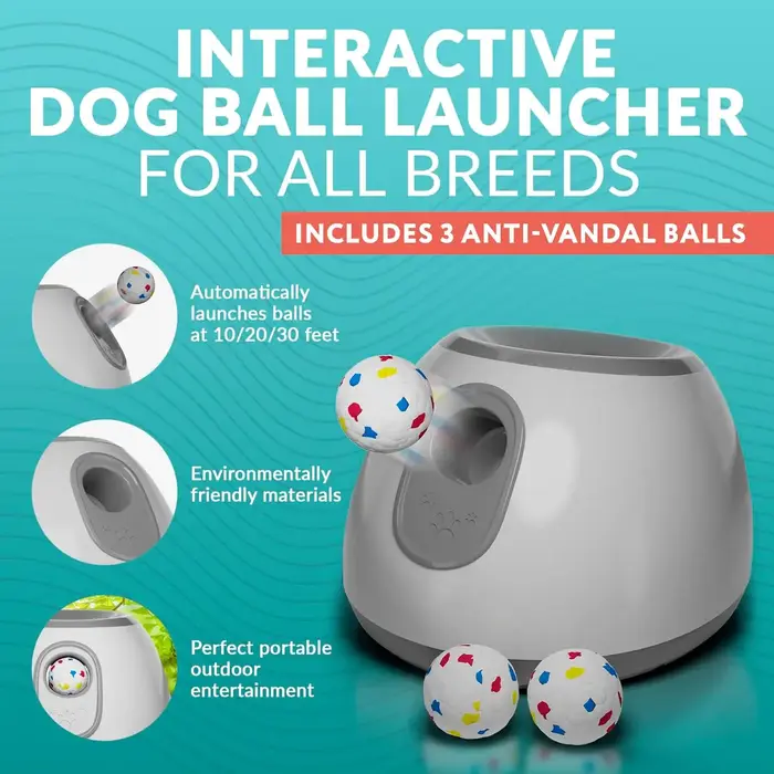 Lanceur de balles de tennis pour chien