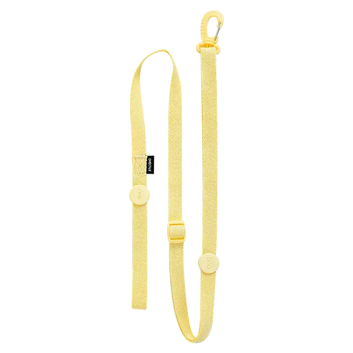 Ensemble de laisse de collier de harnais réglable pour chien, couleur Macarone, accessoires réfléchi