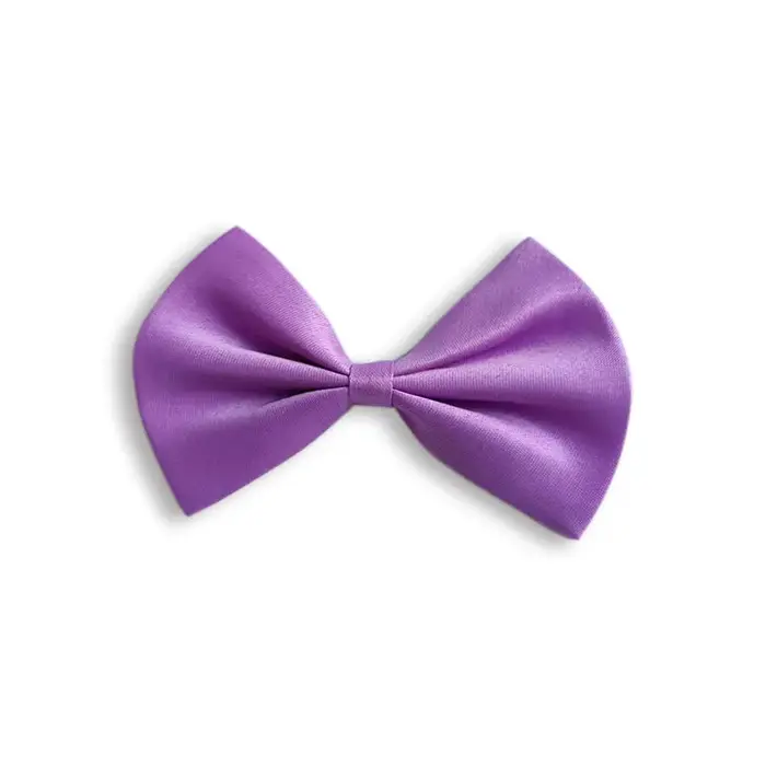 Nœuds papillon colorés pour chats et chiens, accessoires de mode pour animaux de compagnie, collier 