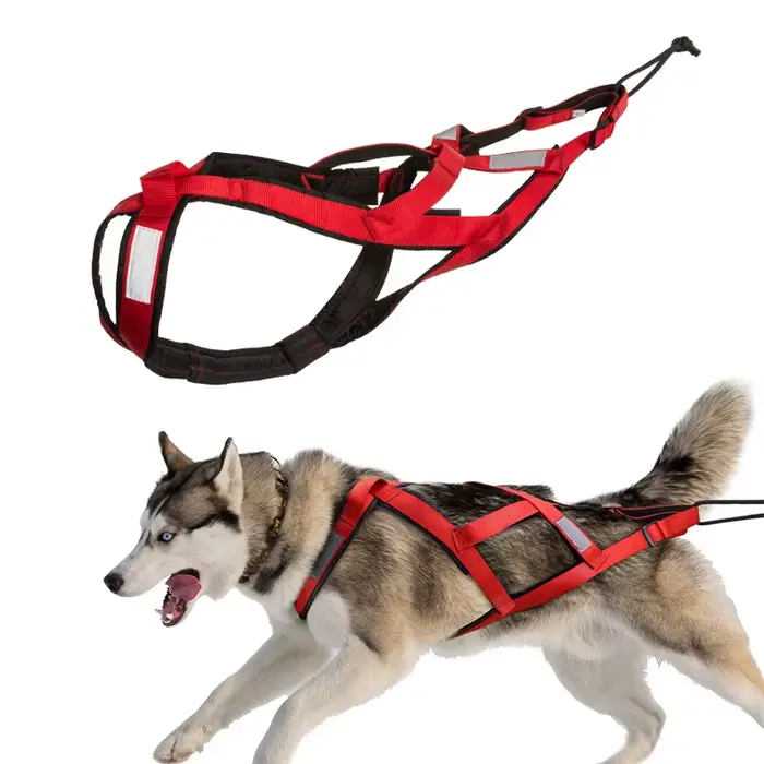 Harnais de traîneau pour chien