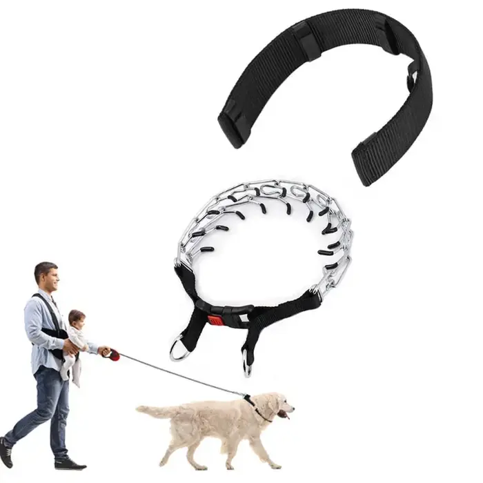 Collier d'entraînement pour chien