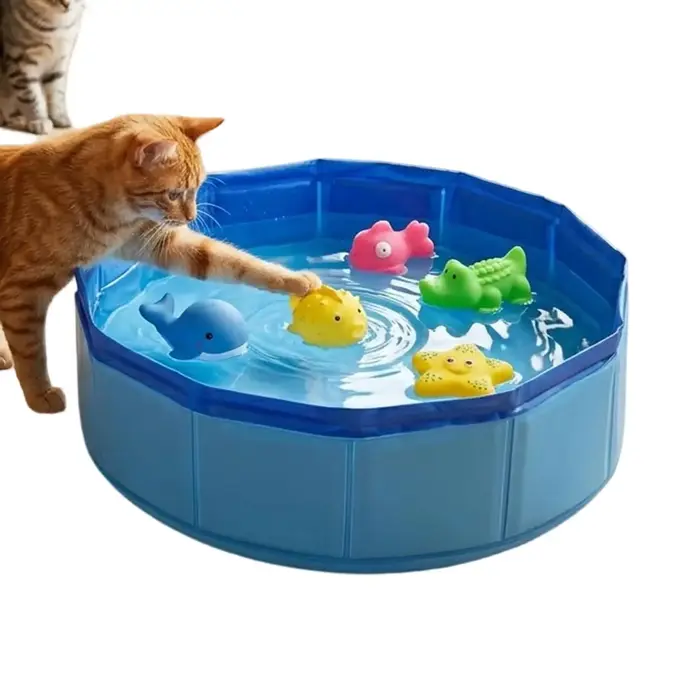 Piscine pliable pour animaux de compagnie