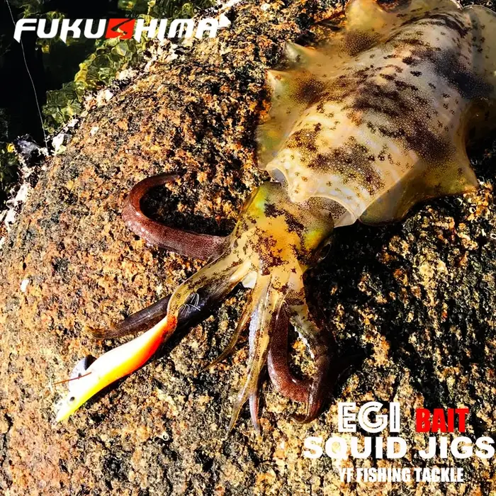 FUKUSHIMA 2-3.5 gabarits d'équilibre EGI leurre pêche au bois grillage BAIT coupe octopères queue br