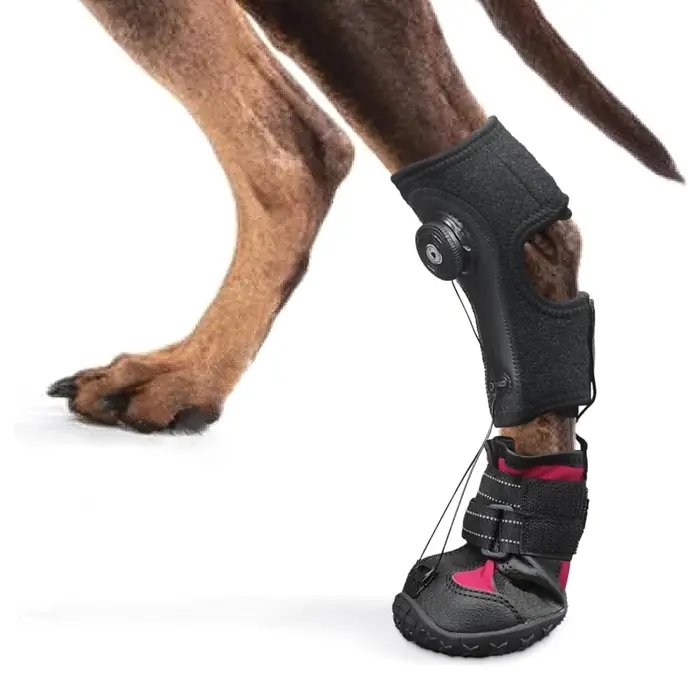 Chaussures pour animaux de compagnie, Anti-saleté, Anti-chute, semelle rigide résistante à l'usure, 