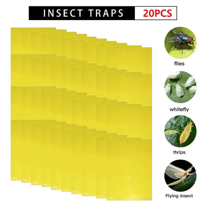 Pièges collants double face pour insectes volants, panneau de piège à mouches de fruits, multiple, c