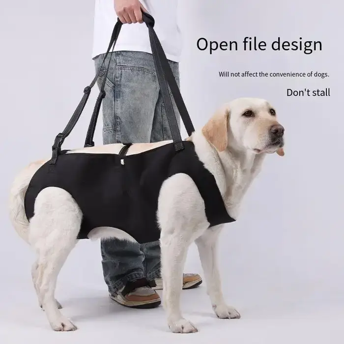 Nouveau harnais de soutien pour chien