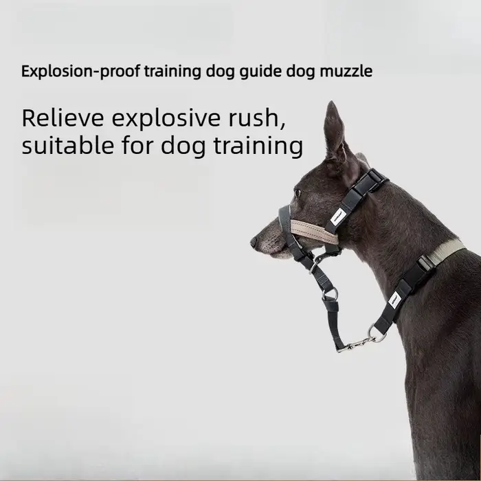 Muselière pour chien pour la traction et l'entraînement – Contrôle latéral ajustable