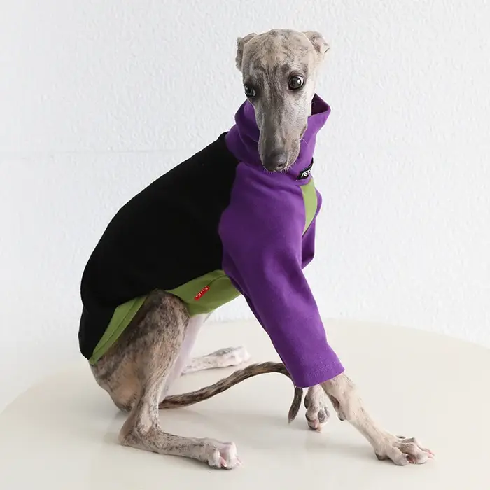 Vêtements à deux pattes pour chien, 8 couleurs, lévrier italien, à la mode, multicolore, doux, confo