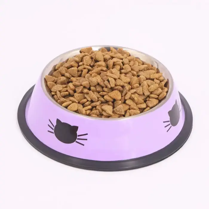 Supet-Gamelle en acier inoxydable à double paroi avec base en caoutchouc coordonnante pour chien et 
