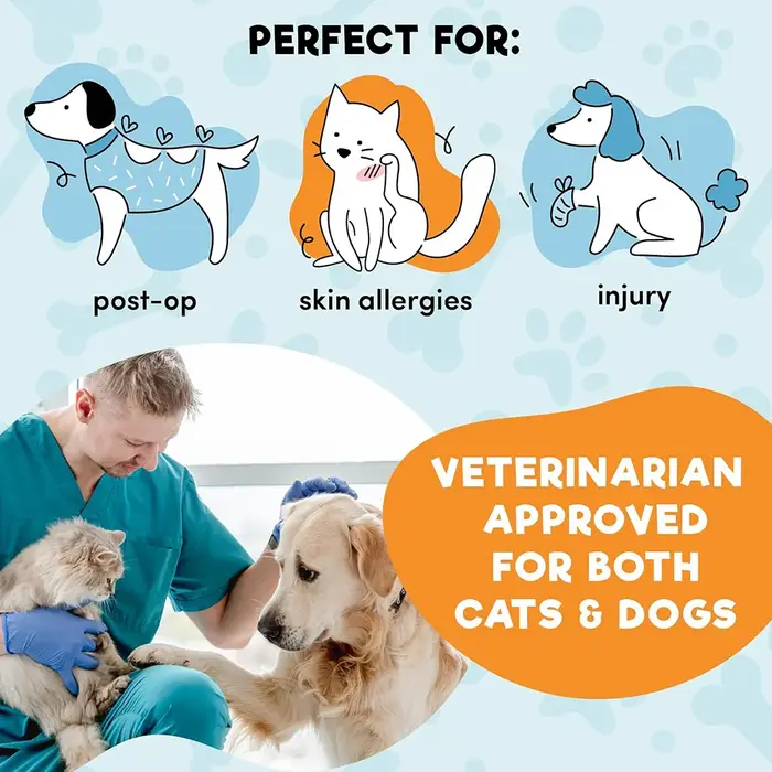 Collier de protection gonflable pour chien après chirurgie