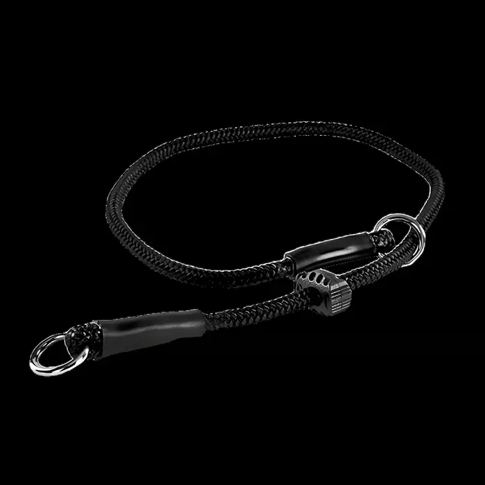 Collier de starter d'équipement de corde de Traction pour l'entraînement de chien fait à la main de 